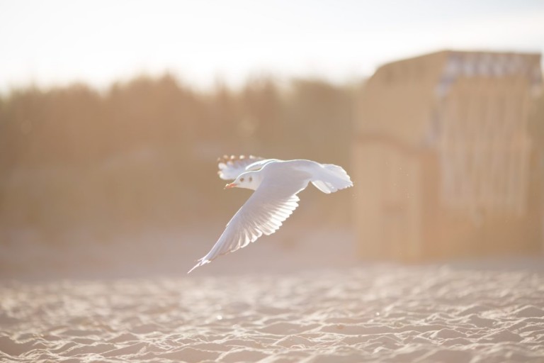 matthias-goetzke-185013-unsplash