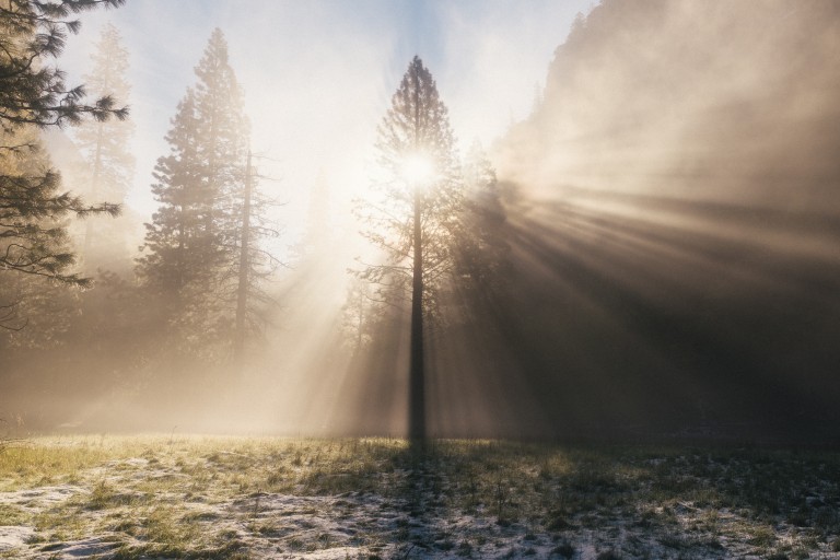 connor-mcsheffrey-87379-unsplash